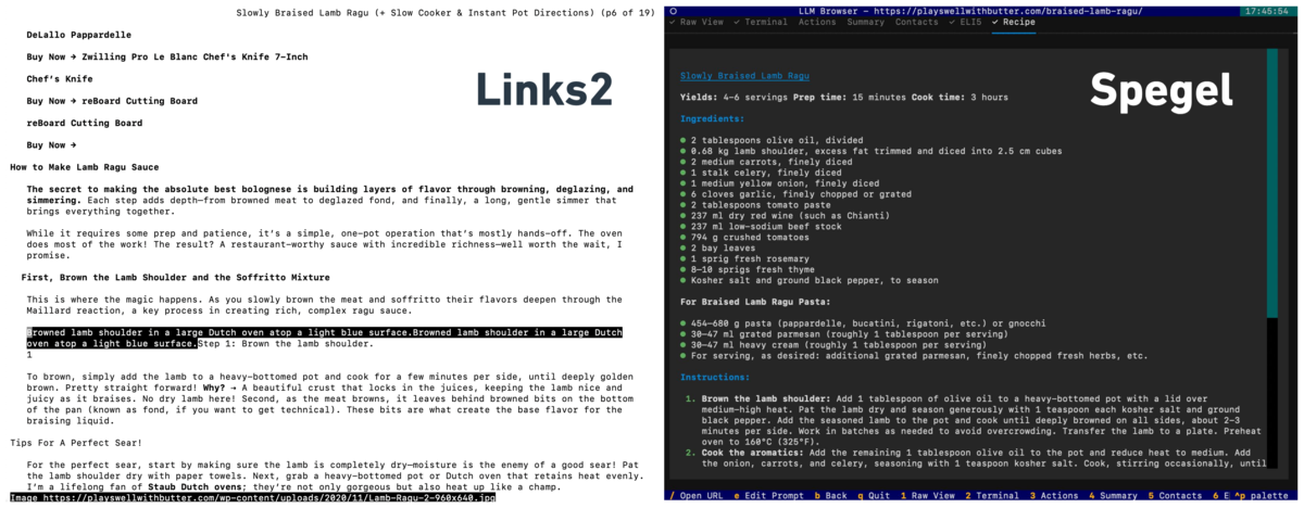Show HN: Spegel, a Terminal Browser That Uses LLMs to Rewrite Webpages